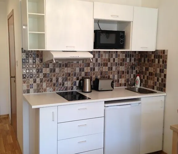 Apartment Druskonis *