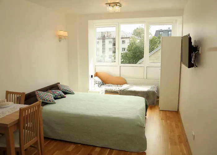 Druskonis Apartment *